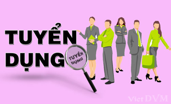 Tuyển Kế toán Trưởng tại khu CN Khánh Phú